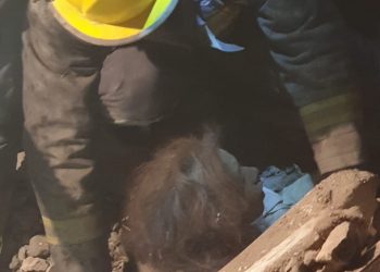 بالصور.. الحماية المدنية تنقذ فتاة من تحت الأنقاض بعد انهيار عقار بالدرب الأحمر 1