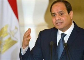 6.8  مليار دولار إجمالي الاستثمارات الإماراتية في مصر 6