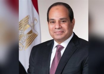 فيديو.. برلماني: المصريون يثقون في الرئيس السيسي وقيادته الحكيمة 4