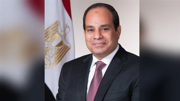 فيديو.. برلماني: المصريون يثقون في الرئيس السيسي وقيادته الحكيمة 1