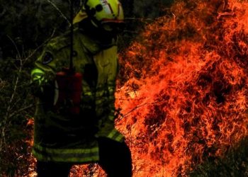 النيران تلتهم غابات سيدني في أستراليا   3