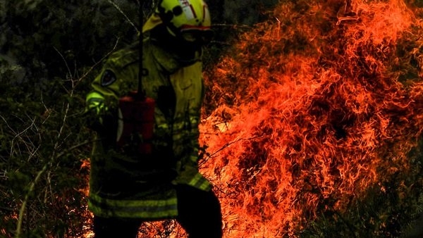 النيران تلتهم غابات سيدني في أستراليا   1