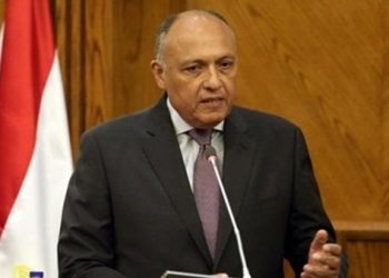 وزير الخارجية: توصلنا لاتفاق بشأن سد النهضة.. لا مساس بحقوق مصر 7