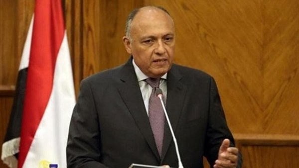 وزير الخارجية: توصلنا لاتفاق بشأن سد النهضة.. لا مساس بحقوق مصر 1