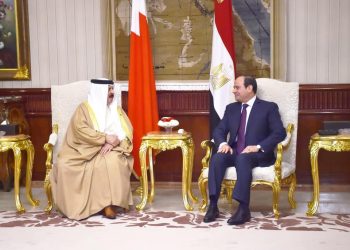 فيديو وصور.. السيسى لملك البحرين: أمن الخليج العربى جزء لا يتجزأ من أمن مصر القومى 5