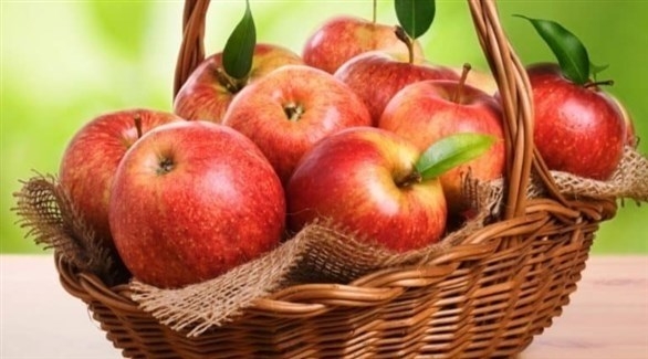 تعرف على فوائد تناول التفاح.. يقي من السرطان وارتفاع ضغط الدم 1