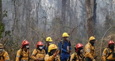 دمار ١٠٠ منزل والحرائق تجتاح الغابات شرق استراليا 1