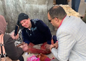 محافظ القاهرة يستجيب لحالة "ماما ناهد" وينقلها إلى دار رعاية 3