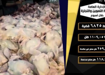 بالفيديو.. حملات أمنية تصادر 259 طن سلع غذائية فاسدة و118 الف لتر مواد بترولية 2