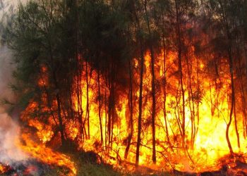 حريق الغابات في إسبانيا