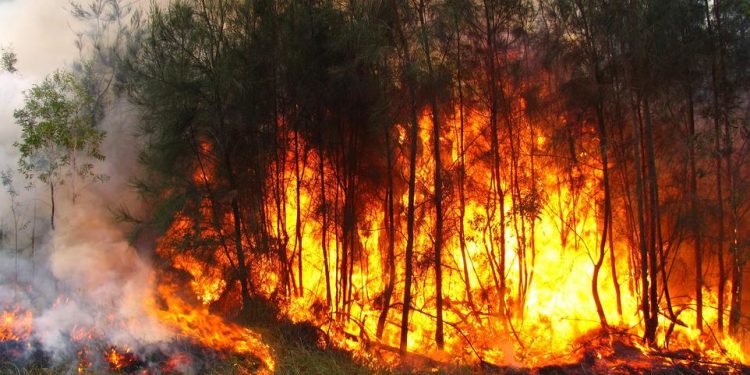 حريق الغابات في إسبانيا