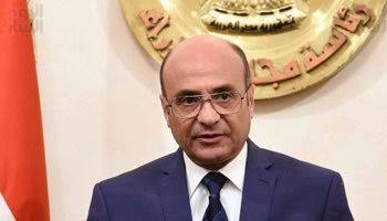 وزير شؤون مجلس النواب يؤكد حماية مصر ودعمها لحقوق الإنسان 3