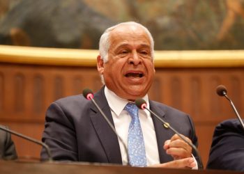 برلمانى: مطالب سيدات مصر حول قانون الأحوال الشخصية مشروعة 6