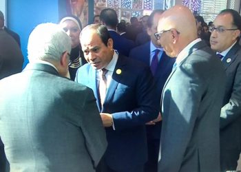 تفاصيل لقاء الرئيس "السيسي" مع محمود محي الدين 1