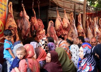 وزارة الزراعة: ارتفاع في أسعار اللحوم الفترة المقبلة 4