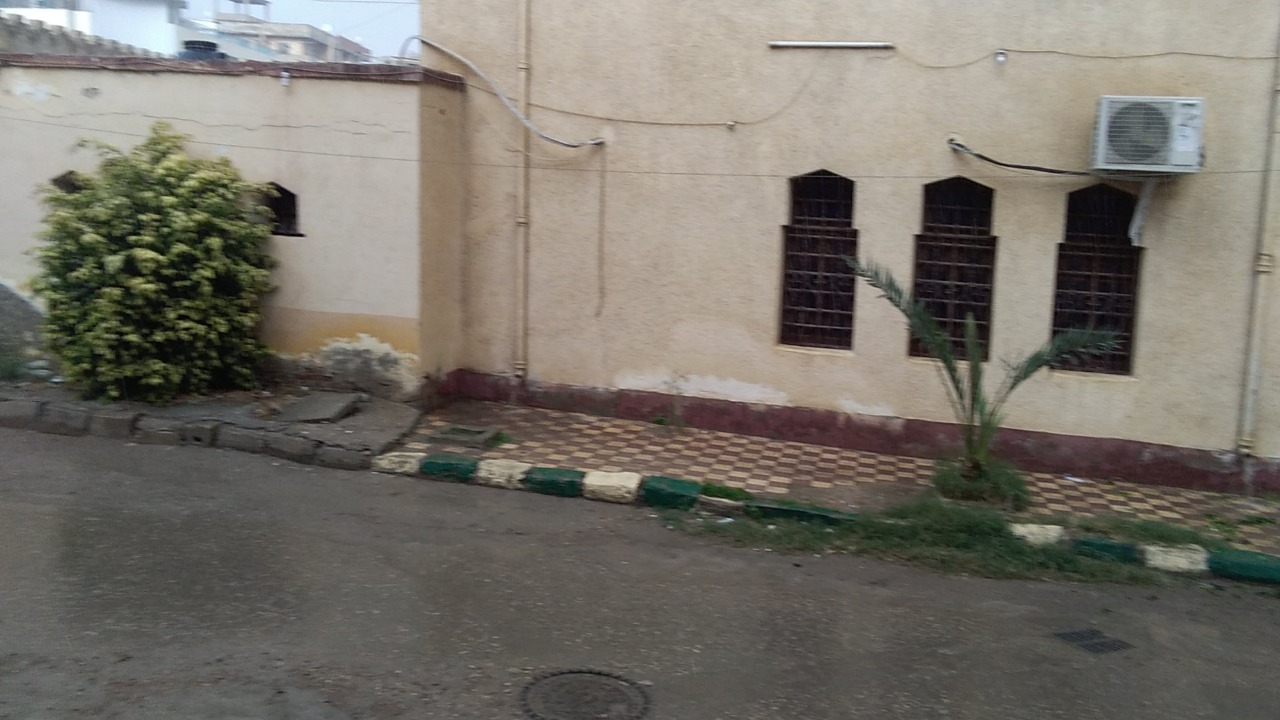 صور.. سقوط امطار متوسطة على بعض مدن كفر الشيخ 1