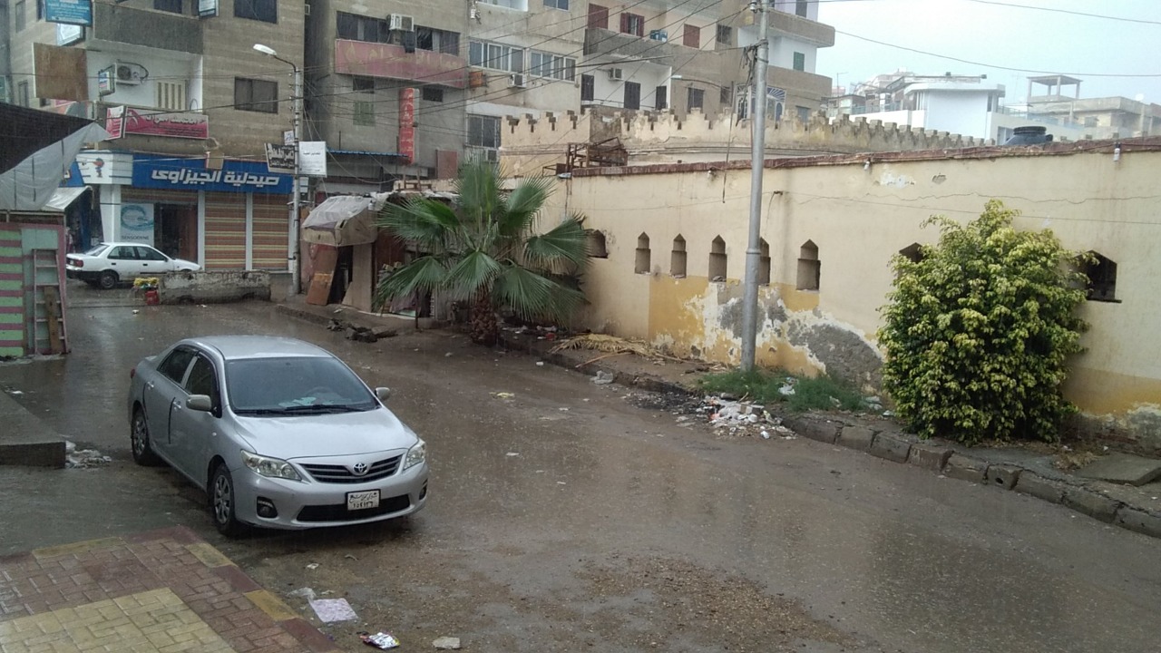 صور.. سقوط امطار متوسطة على بعض مدن كفر الشيخ 2