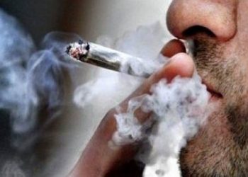 دراسة : تدخين الحشيش يدمر الرجال فى أماكن حساسة 1