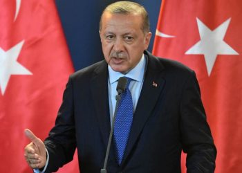 عبد المنعم سعيد: اردوغان سبب فشل العلاقات السياسية التركية بالدول العربية 8