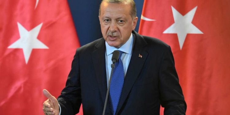 عبد المنعم سعيد: اردوغان سبب فشل العلاقات السياسية التركية بالدول العربية 1