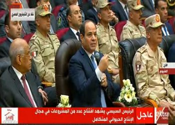 السيسي: هدف الجيش منع سقوط الدولة المصرية والحفاظ على مسارها الدستوري 6