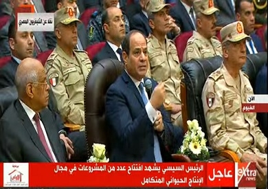 السيسي: هدف الجيش منع سقوط الدولة المصرية والحفاظ على مسارها الدستوري 1