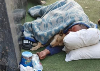 صداقة من نوع أخر..مُشرد يحتضن كلب تحت بطانيته خوفاً من البرد (صور) 3