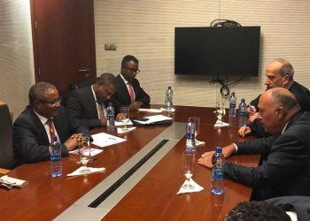 وزراء خارجية مصر وإثيوبيا والسودان يخططون لاجتماع في واشنطن 13 يناير 3