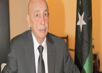 مستشار النواب الليبي: سنسحب الثقة من حكومة الوفاق الغير شرعية 5