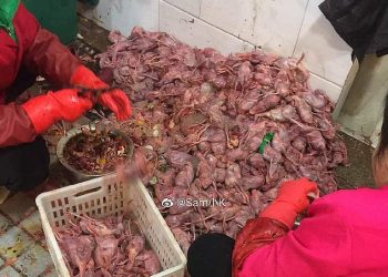 صور سوق ووهان للحيوانات البرية بؤرة انتشار فيروس كورونا بالصين 2