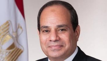 الحكومة تبدأ تنفيذ توجيهات الرئيس لاتخاذ إجراءات عودة المصريين من "ووهان 5