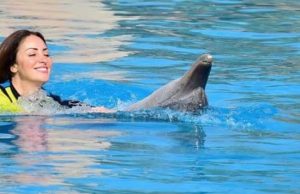 نرمين الفقى بصحبة الدولفين بمشهد مثير تسبح فى المياه صور 4