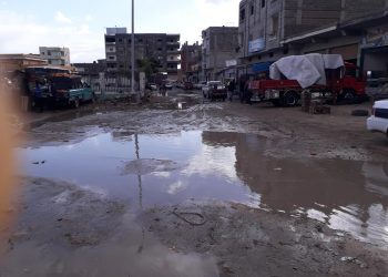طقس شمال سيناء .. هطول أمطار غزيرة على المدن تتسبب فى إعاقة السير بالشوارع .. صور 8