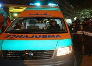 مصرع طفلة صدمتها سيارة بطريق مغاغة بـ المنيا 1