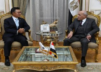 سفير كوريا الجنوبية : دور مصر محورى فى تحقيق الأمن والاستقرار الإقليمى 3