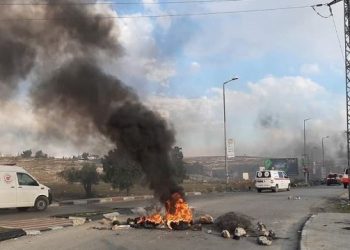 إصابة 8 فلسطينيين بالرصاص والعشرات بالاختناق إثر قمع الاحتلال لمسيرة منددة بالاستيطان 1