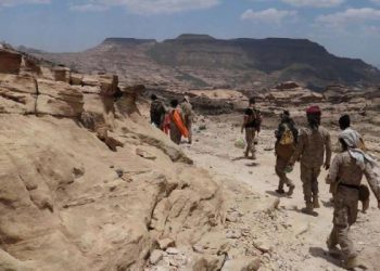 ضربات موجعة تتلقاها ميليشيا الحوثي من الجيش الوطني اليمني
