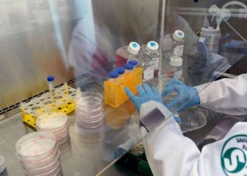 اليابان تبدأ في اختبار "قارا خاصا" لعلاج فيروس كورونا 1