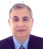 الدكتور سعد السيد حسن عالم الكيمياء المصرى
