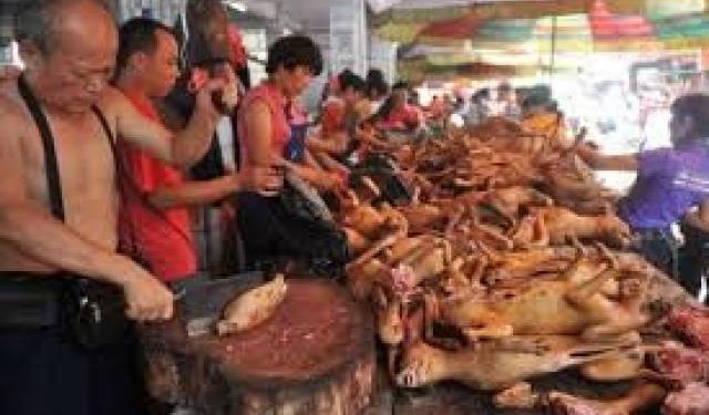 سوق صينية لبيع لحوم الكلاب والقطط