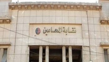 القضاء الإداري ينظر 7 دعاوى تطالب بوقف انتخابات المحامين 3