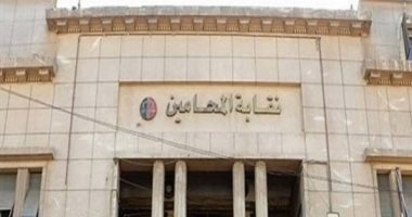 القضاء الإداري ينظر 7 دعاوى تطالب بوقف انتخابات المحامين 1