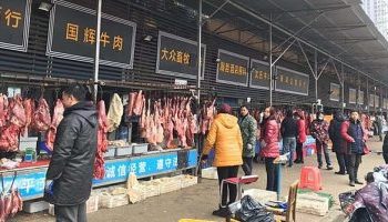 سوق الحيوانات بالصين