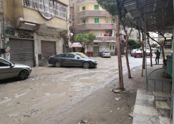 صور.. هطول أمطار متوسطة في الإسكندرية.. واستمرار حركة الملاحة البحرية 4