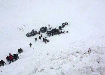ارتفاع عدد ضحايا الانهيارات الجليدية في تركيا إلى 39 شخصا 1