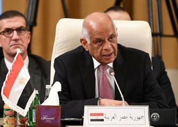 رئيس مجلس النواب: مصر ستبقى عونا للفلسطينيين في كل محفل 9