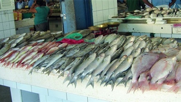 ضبط 61 طنا من الأسماك غير صالحة للاستهلاك الآدمي بالبحيرة 1
