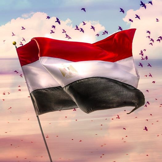 الرئيس السيسي يعلق علي عودة الصيادين المصريين من اليمن "صورة" 1