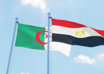 السفير المصري بالجزائر: السفارة تدعم أنشطة الشركات المصرية بالجزائر 4