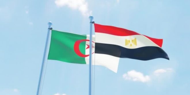 السفير المصري بالجزائر: السفارة تدعم أنشطة الشركات المصرية بالجزائر 1